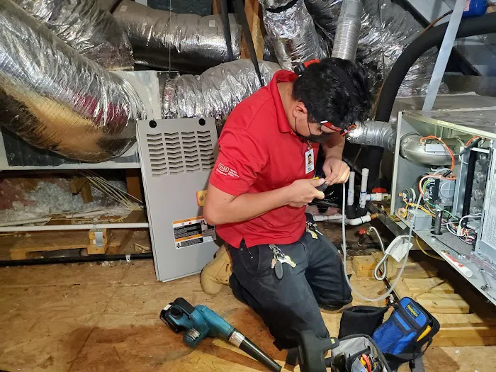 Bear Air Services Picture 4