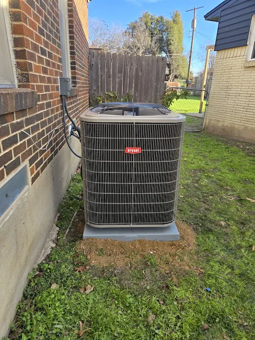 Bear Air Services Picture 7