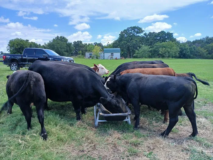 Air Conditioning Champions-Wylie Picture 4