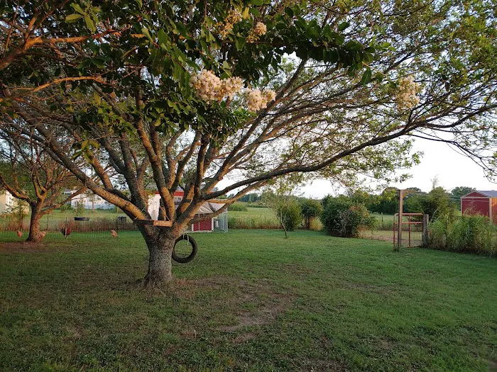 Sadler Heat & AC Picture 2