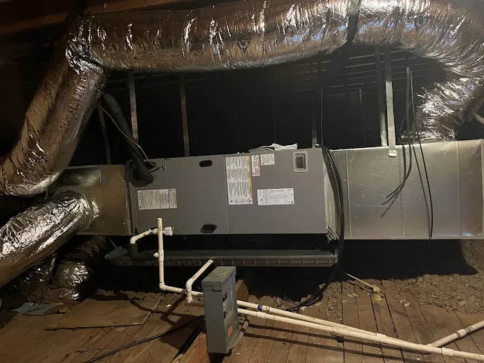 RED MAPLE AIR LLC Picture 6