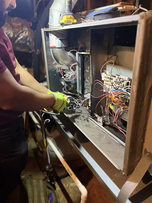 RED MAPLE AIR LLC Picture 3