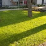 Cody Air Conditioning & Heating Inc