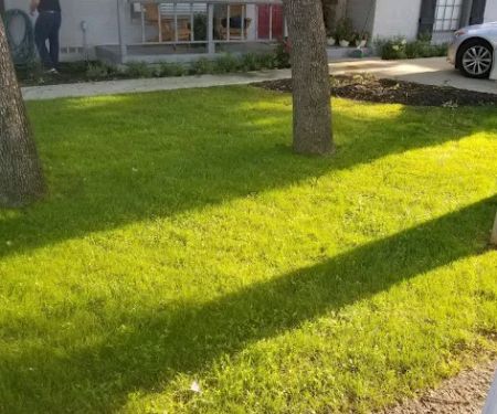 Cody Air Conditioning & Heating Inc