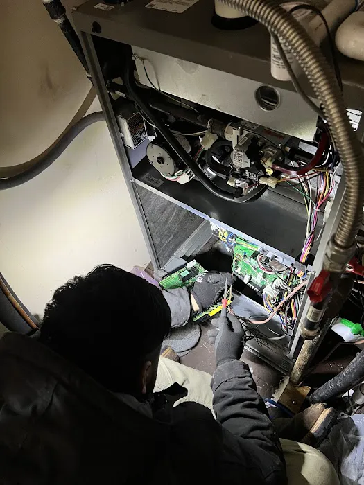 Galan and Sons Picture 3