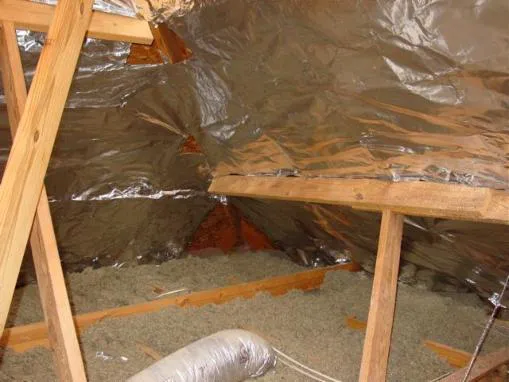 Tradesman of Texas Picture 2