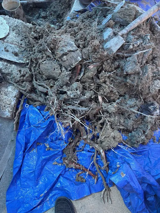 GA Services Picture 9