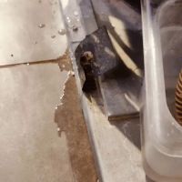 Longhorn Services: HVAC & Appliance Repair ico