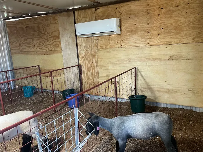 Wise Heating & Air Conditioning, LLC Picture 6