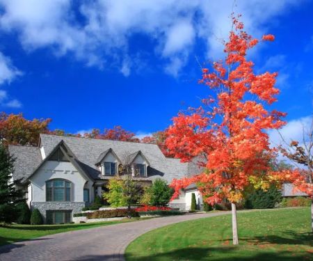 Action Plus Heating & Air Conditioning