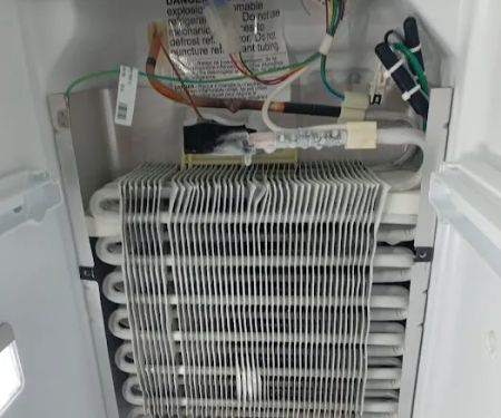 Moss service and repair LLC