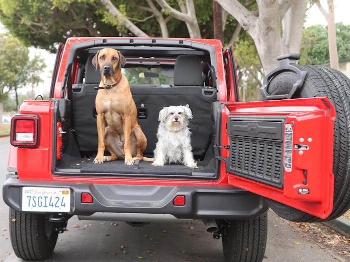 AAMCO Transmissions & Total Car Care Picture 9