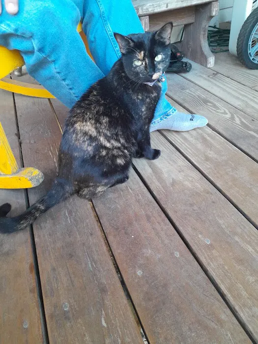 Gator's Heating, Ventilation, Air Condition & Refrigeration Picture 2