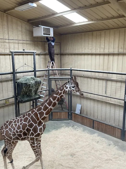 Redline Heating & Air LLC Picture 4