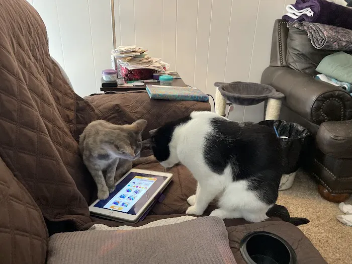 Airco Service Picture 6