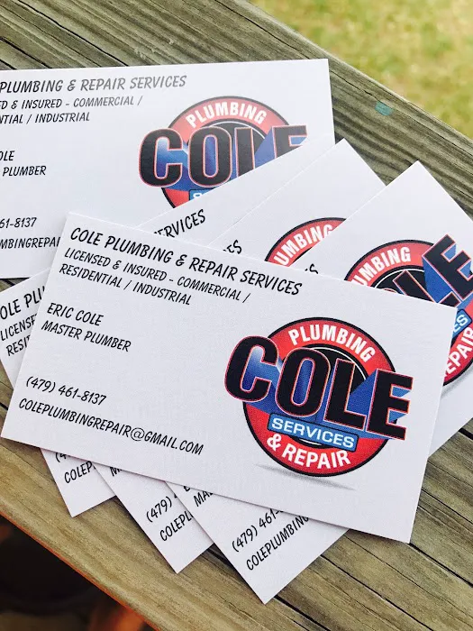 Cole Plumbing and Repair Services Picture 3