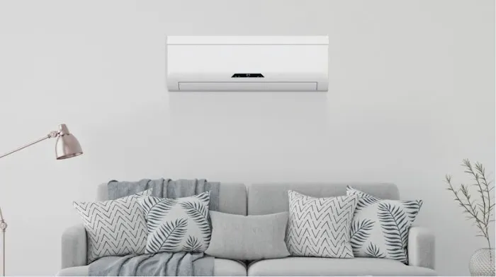 The Supply Asylum Picture 1