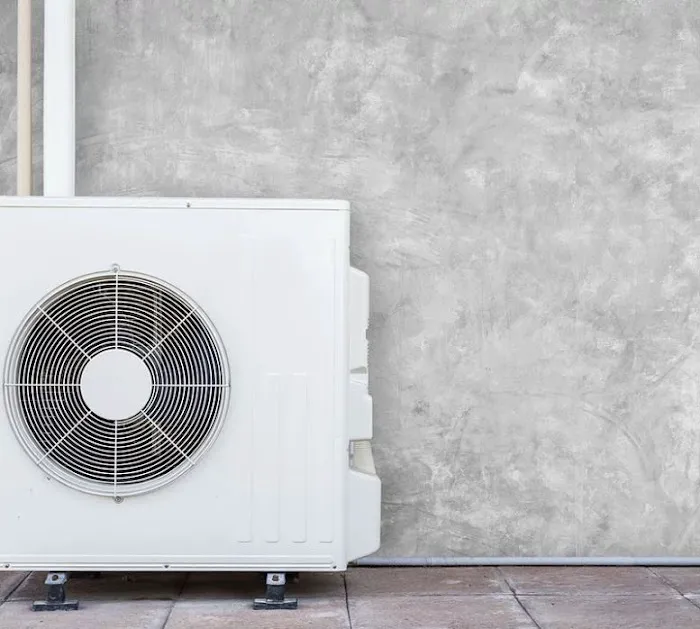 The Supply Asylum Picture 2