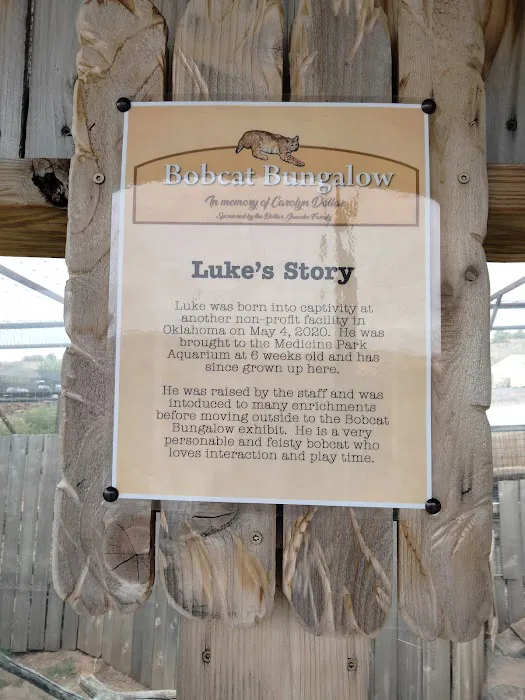 Rey's Auto Repair Picture 3