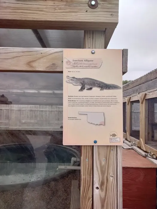 Rey's Auto Repair Picture 4