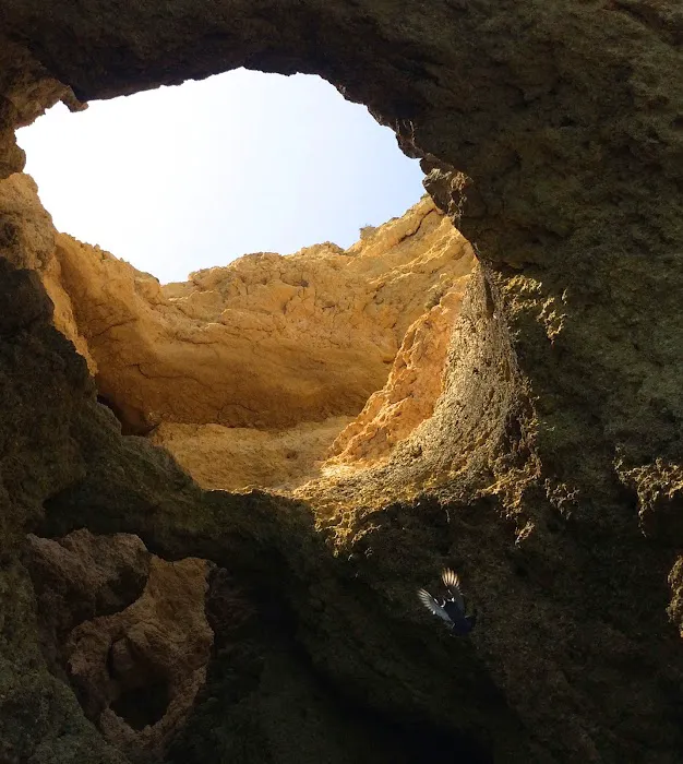 Garner Heating and Air / Jody Garner Picture 7