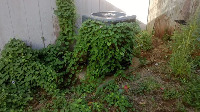 Ferguson-Veresh, Inc. Picture 7