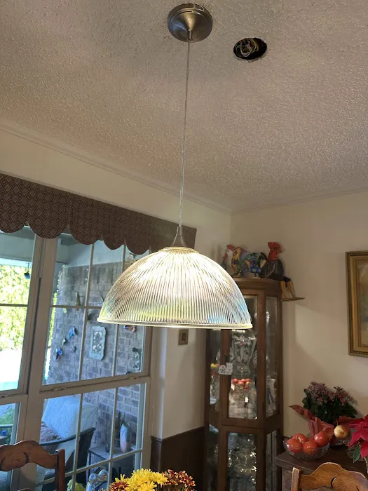 Olympus Electric & Air Picture 5