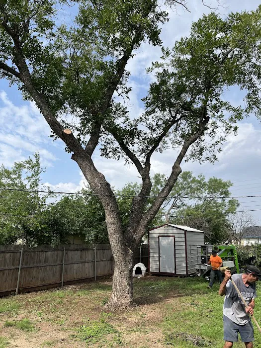 Cutting Edge Air Conditioning and Heating Picture 8