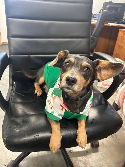 Ozark Mountain Air Picture 9