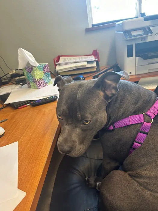 Ozark Mountain Air Picture 1