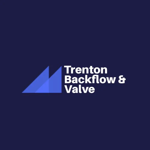 trenton backflow & valve Picture 1