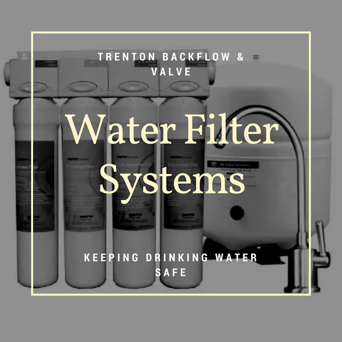 trenton backflow & valve Picture 3