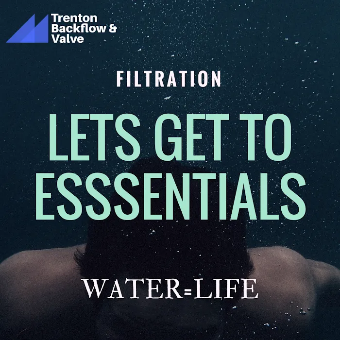 trenton backflow & valve Picture 5