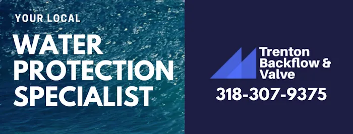 trenton backflow & valve Picture 2