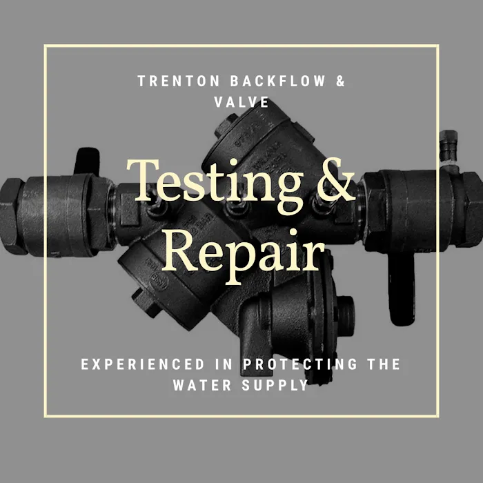 trenton backflow & valve Picture 4