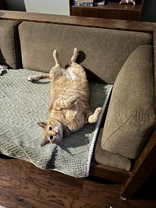 Northside Heating & Cooling Picture 4