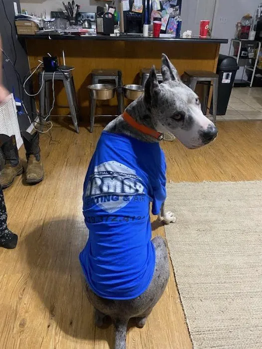 Armor Heating & Air Picture 5