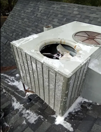 All-Star Air Picture 5