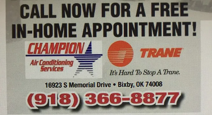 Champion Air Services Picture 1