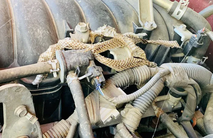 Sherman's Import Tek Picture 5