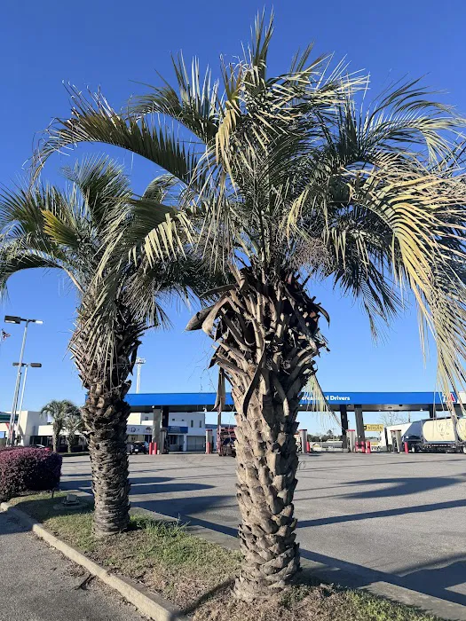 TA Truck Service Picture 6