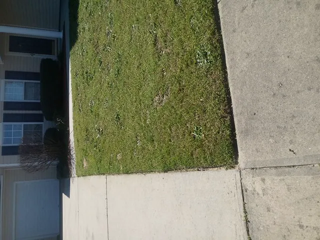 Davis Climate Control Picture 7