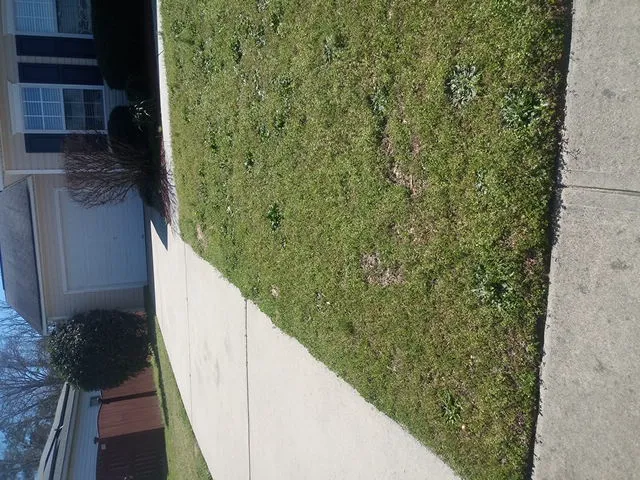 Davis Climate Control Picture 5