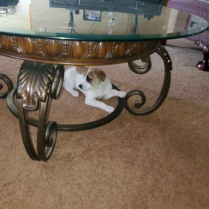 Local Plumber and HVAC Picture 7