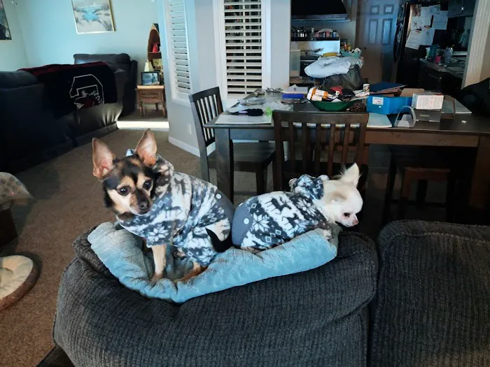 Priority Heating & Air, LLC Picture 7