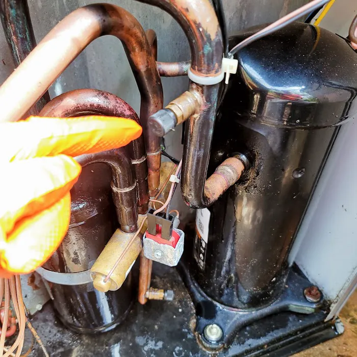 JLA EXPRESS Picture 8