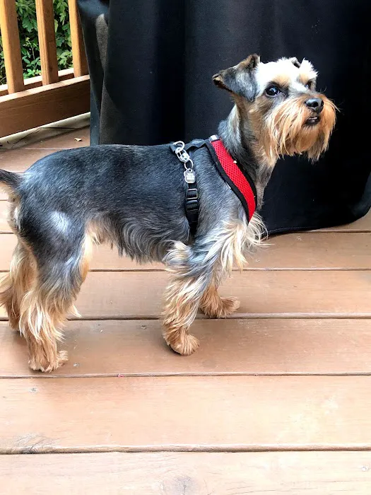 Mountain Air of North GA Picture 4