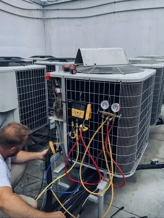 Deans Comfort Picture 6