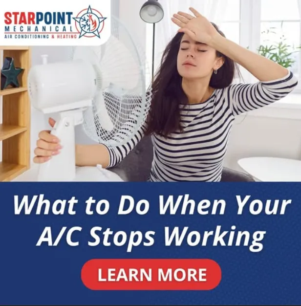 StarPoint Mechanical Picture 2