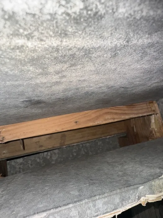 DGL Heating And Air Conditioning Picture 4